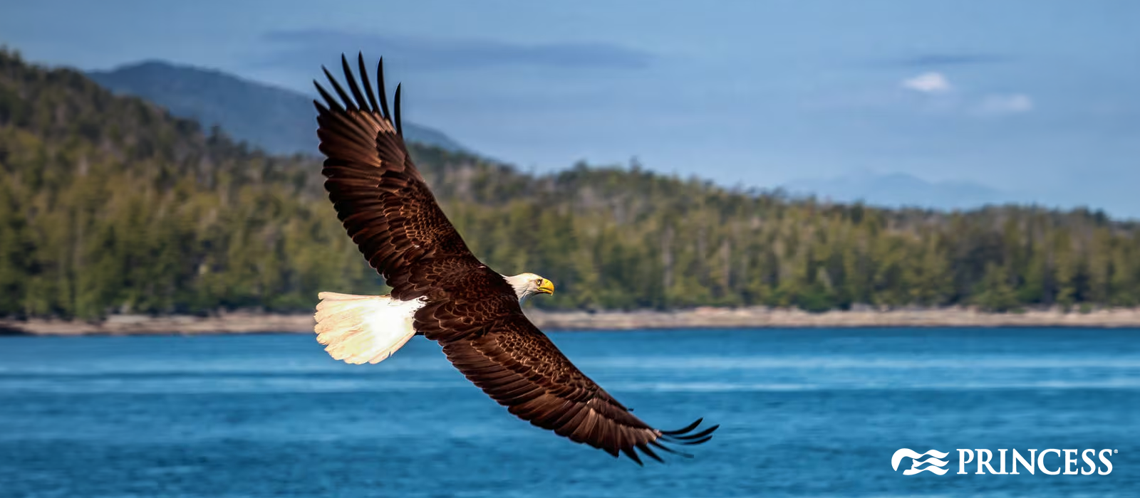 Cruise vacation destination scenery